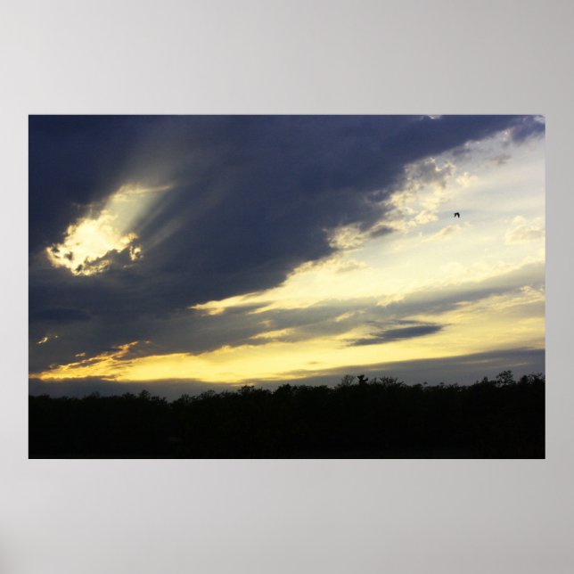 Impresión de Sunset (Frente)