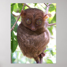 Impresión de tarsier filipino