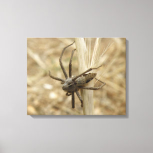 Impresión de tela araña crujiente