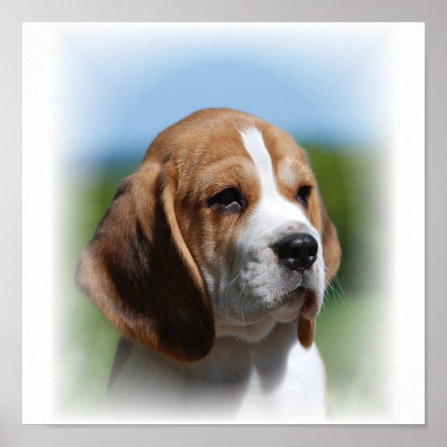 Impresión de tela de Beagle (Frente)