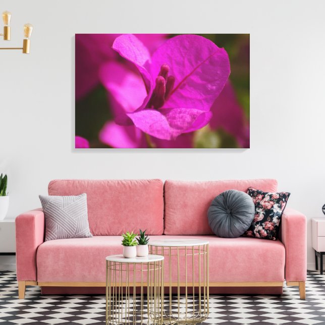 Impresión de tela estirada de belleza de Bougainvi (Insitu (Sala de estar))