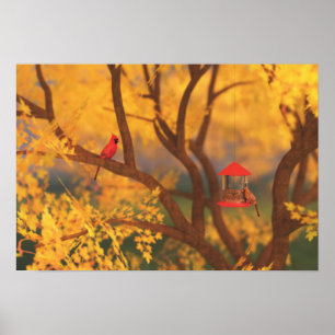 Impresión de The Guardian de otoño