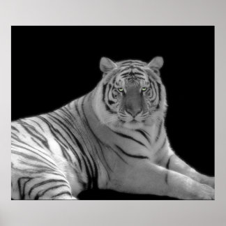 Impresión de tigre en blanco y negro
