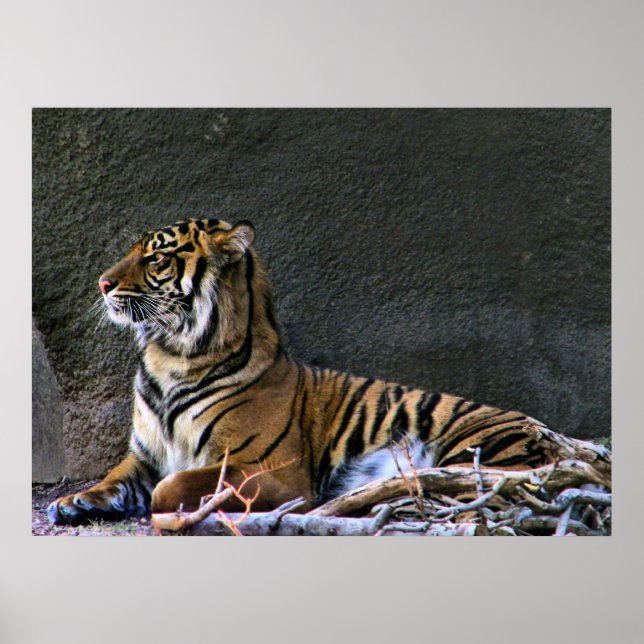 Impresión de timbre (Frente)