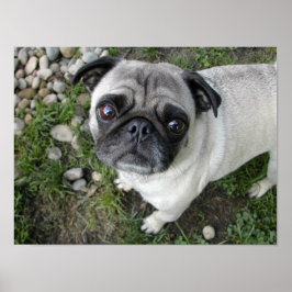 Impresión de tiras de guijarro