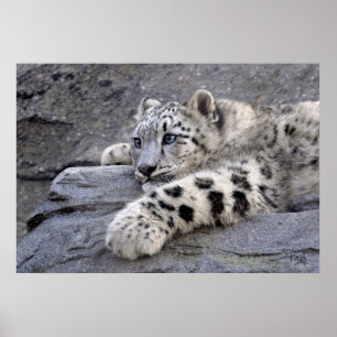 Impresión de todos los repartidos