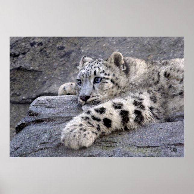 Impresión de todos los repartidos (Frente)