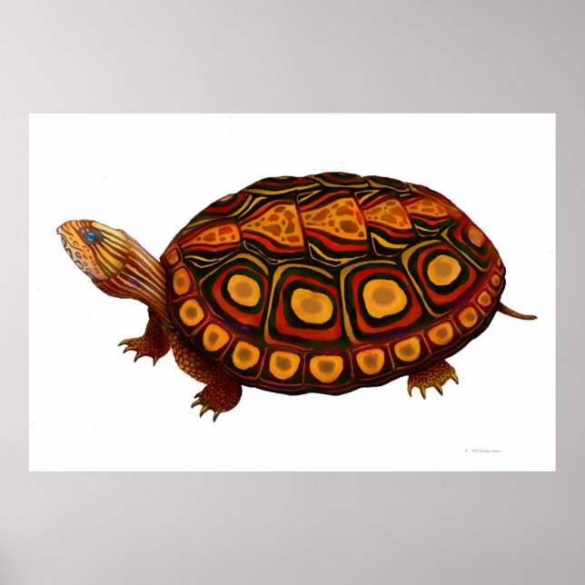 Impresión de tortugas de madera centroamericanas (Frente)