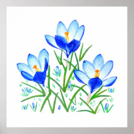Impresión de tres flores de crocus azules