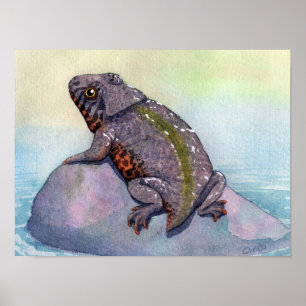 Impresión de Triadobatrachus