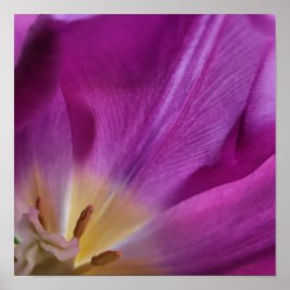 Impresión de Tulipán Púrpura Florido