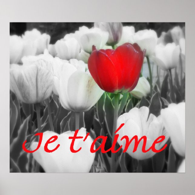 Impresión de tulipanes rojos Je t'aime (Frente)