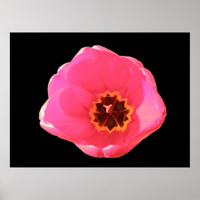 Impresión de tulipanes rosados (Frente)