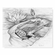 Impresión de una rana en una almohadilla de Lily -