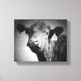 Impresión de vaca en blanco y negro