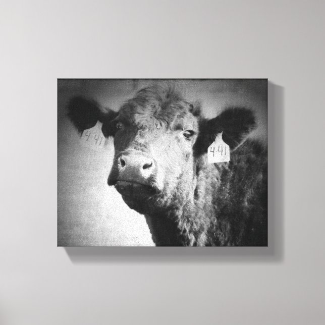 Impresión de vaca en blanco y negro (Anverso)