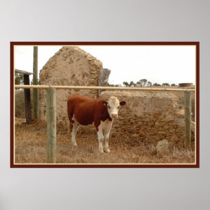 impresión de vaca roja con borde