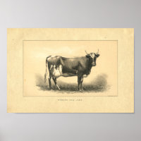 Impresión de vaca vintage 1888