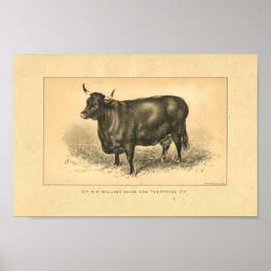 Impresión de vaca vintage 1888
