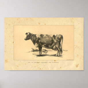 Impresión de vaca vintage 1888