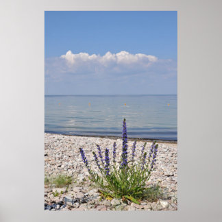 Impresión de verano sueca