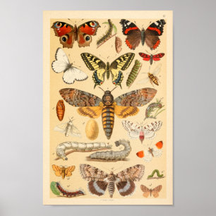 Impresión del arte de la colección de Caterpillar