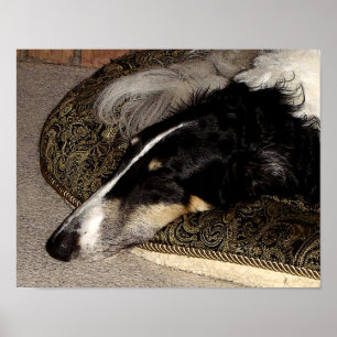 IMPRESIÓN DEL ARTE DEL BORZOI