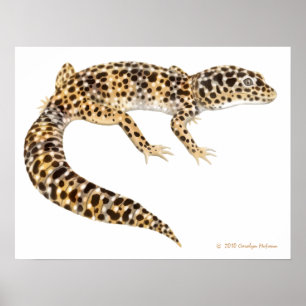 Impresión del arte del Gecko del leopardo