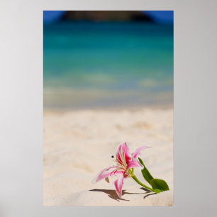 Impresión del arte del lirio 24x36 de la playa