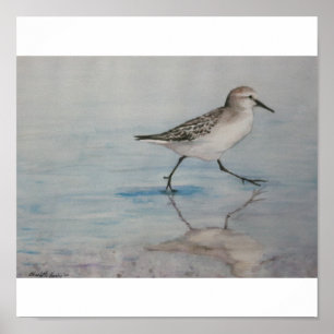 Impresión del arte del pájaro del gaitero de la
