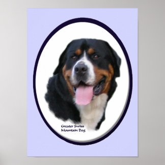 Impresión del arte del perro de la montaña suiza m