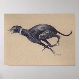Impresión del arte del perro en Greyhound