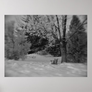 Impresión del banco de invierno negro y blanco