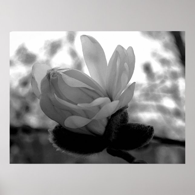 Impresión del Bloom Primario (Frente)