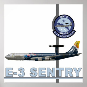 Impresión del centinela E-3