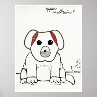 Impresión del cerebro medio superior