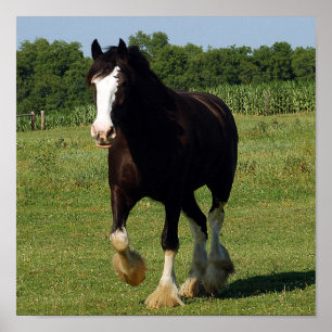 Impresión del funcionamiento de Clydesdale