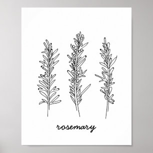 Impresión del ilustracion de Rosemary