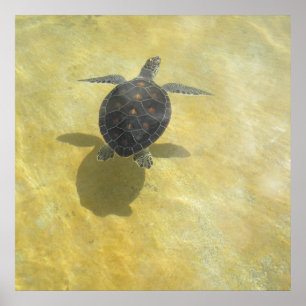 Impresión del juego de sombra de la tortuga de mar