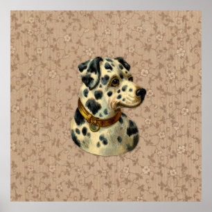 Impresión del perro de Dalmation del vintage