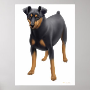 Impresión del Pinscher miniatura