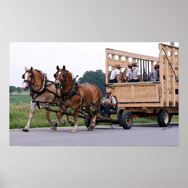 Impresión del Poster de caballos belga Amish Wagon (Frente)