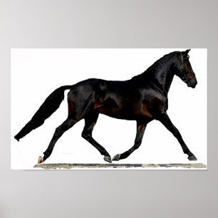 Impresión del poster del caballo del Dressage de