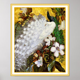 Impresión del poster: Pavo real blanco y azul