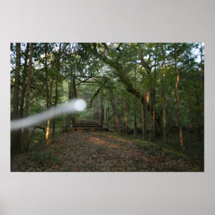 Impresión del puente Bellamy