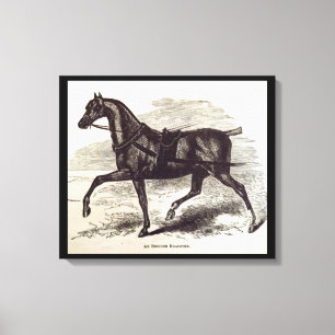 Impresión del siglo XIX Un caballo de ruedas inglé