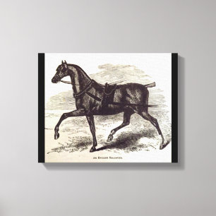 Impresión del siglo XIX Un caballo de ruedas inglé