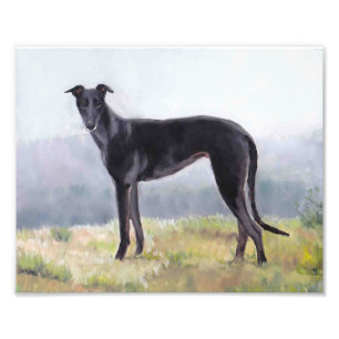Impresión derecha de la foto del perro del galgo