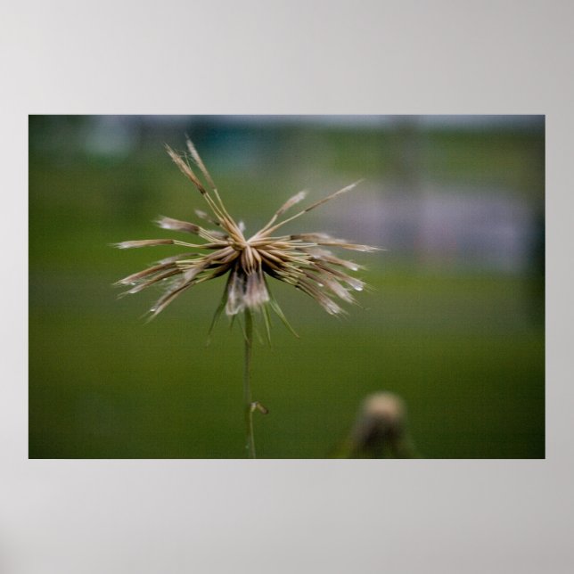 Impresión desinflada (Frente)