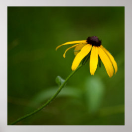 Impresión destacable